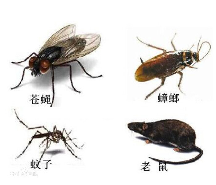 �ĺ��Ķ����뷢չ����