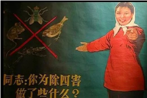 ��˵���£������ĺ����˶�֮��ȸ