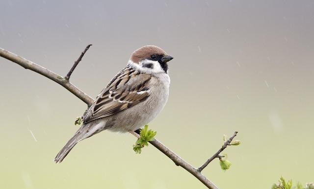 ��ȥ���ĺ�ʱ��Ϊ����ȸ����������������ȴûɶӰ��