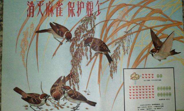 ȫ�����ġ����ĺ����˶�������